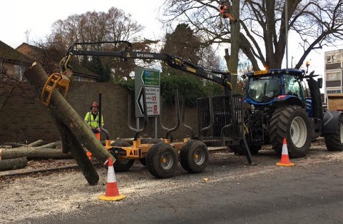 Tree Surgery and Tidying